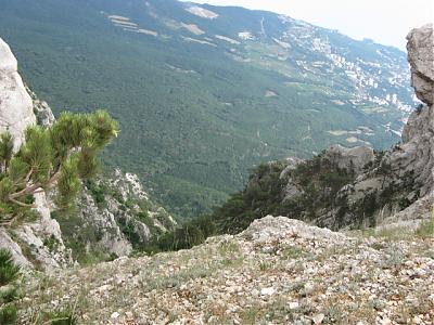     
: vid_ay-petri.JPG
: 1361
:	239.5 
ID:	34