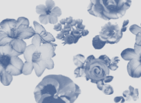 : bg_flovers.gif
: 435

: 14.0 